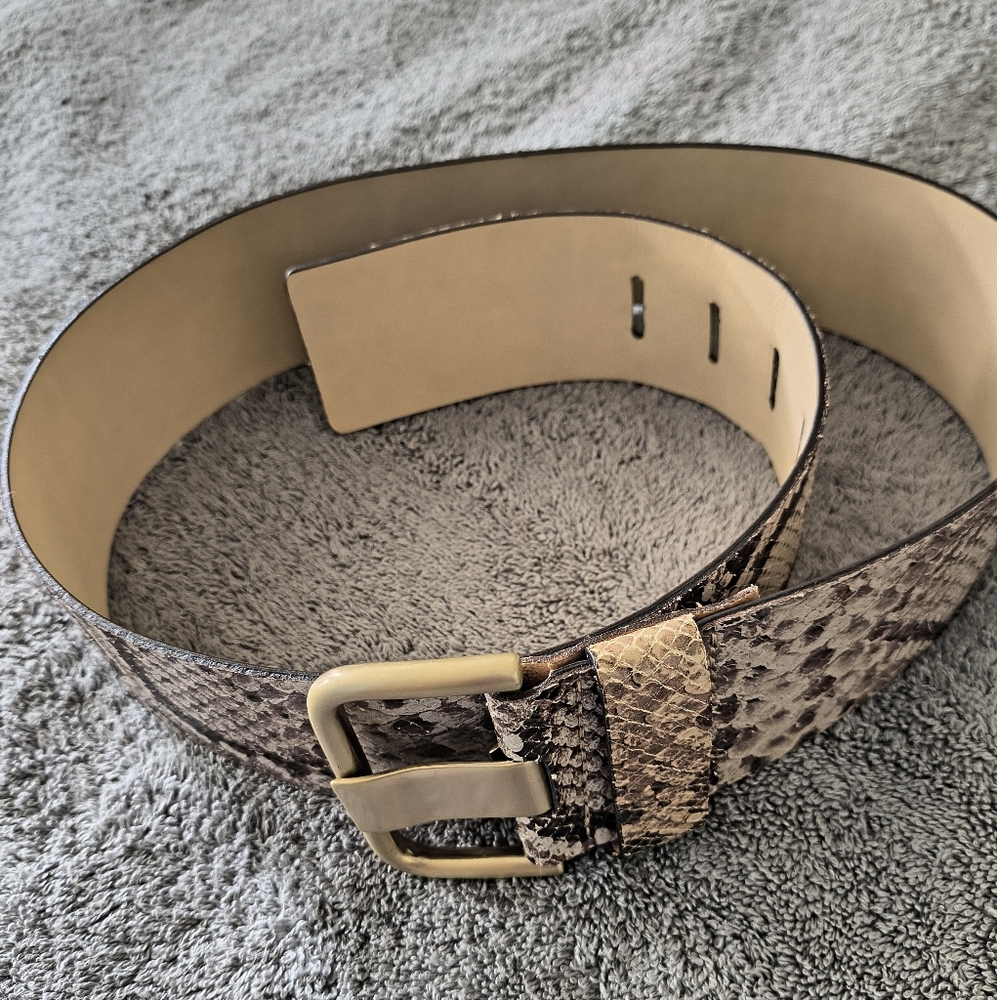Banana Republic Snake Print Belt with Gold Buckle - Picture 12 of 12